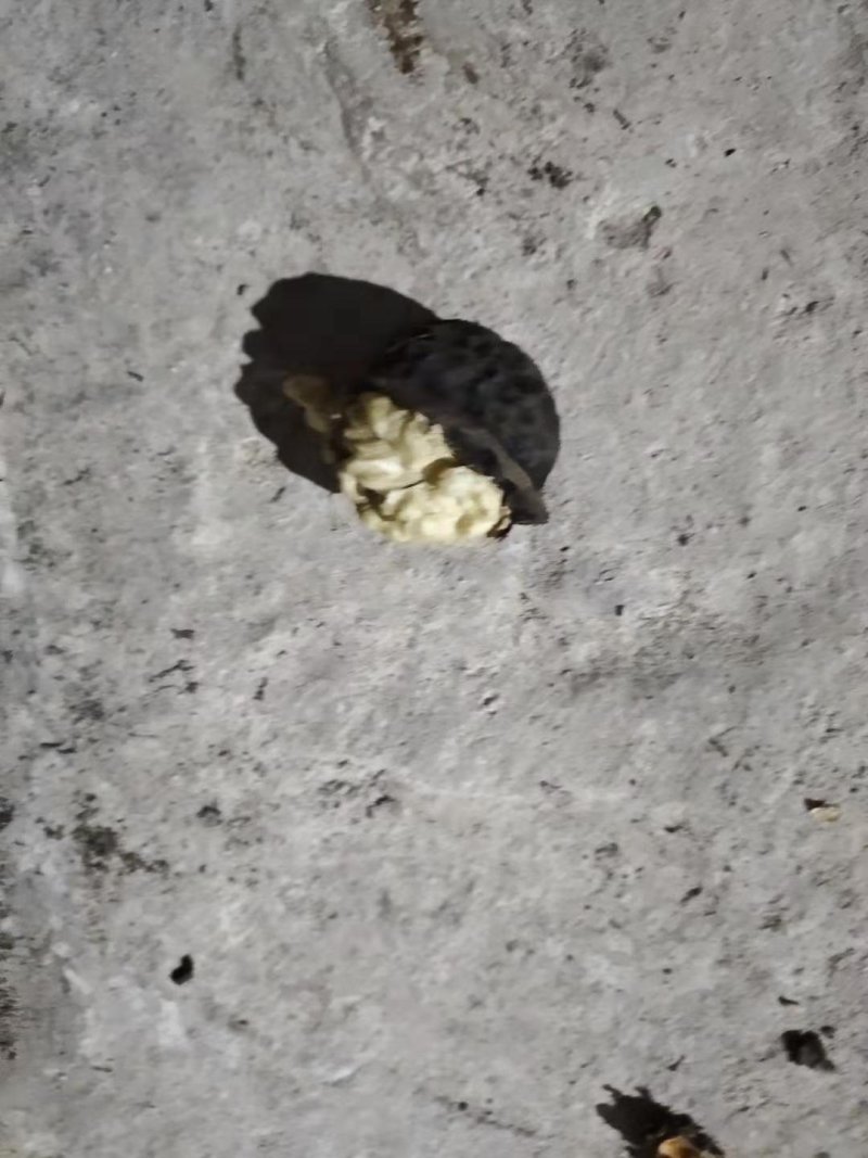 云南干核桃