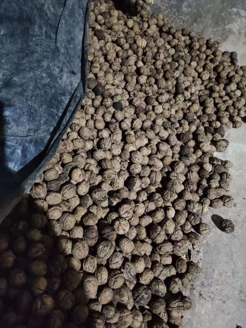 云南干核桃