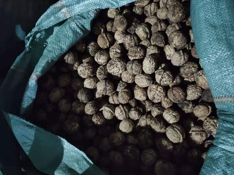 云南干核桃