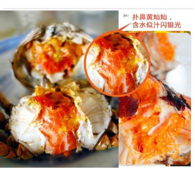 江苏苏州太湖大闸蟹