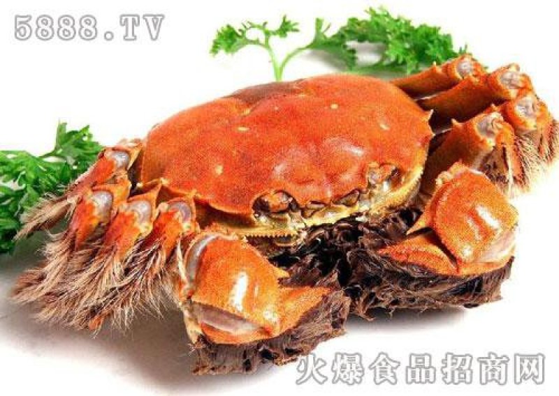 江苏苏州太湖大闸蟹