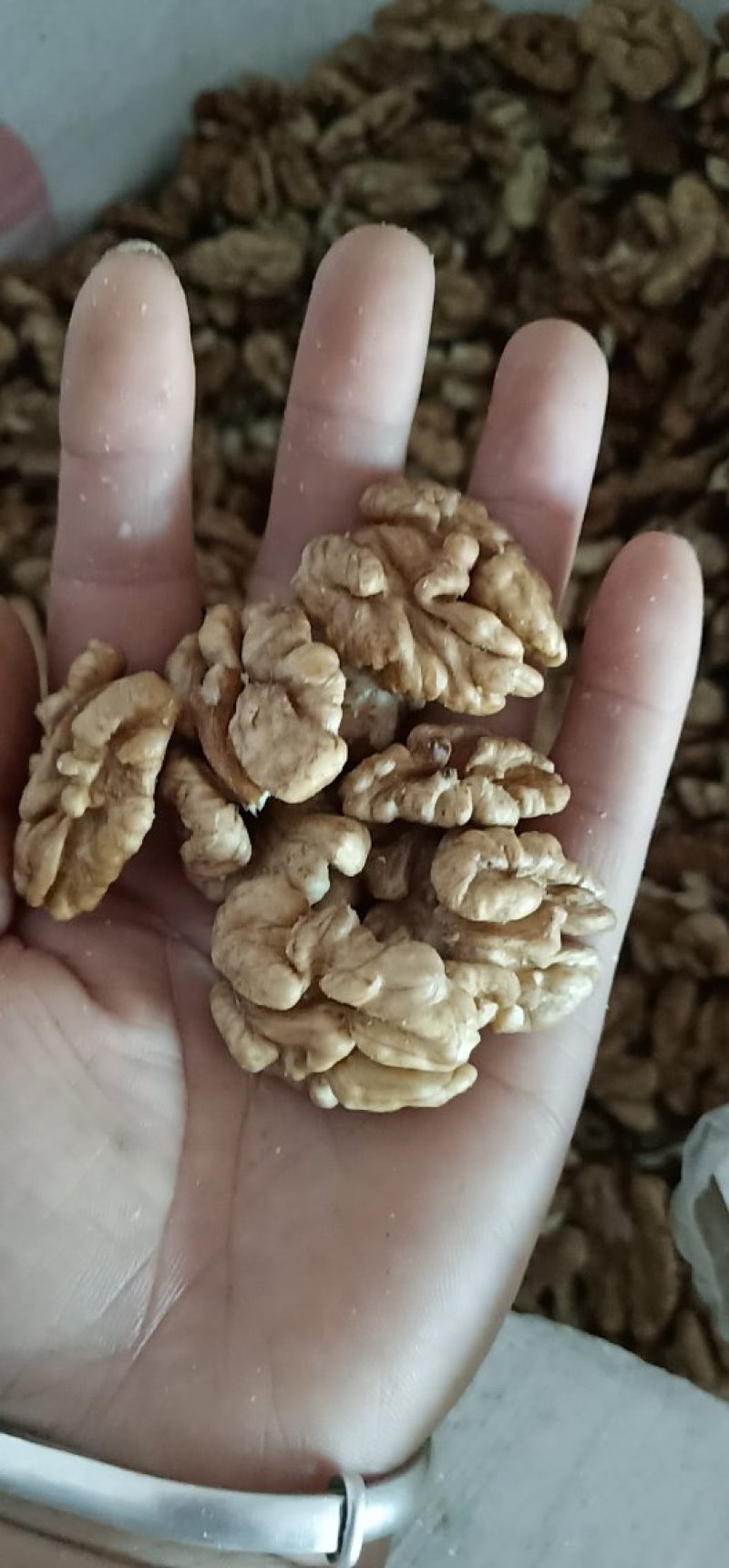 核桃仁