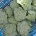 耐寒优秀西兰花0.8~1.2斤质量好，量大，可以持续供