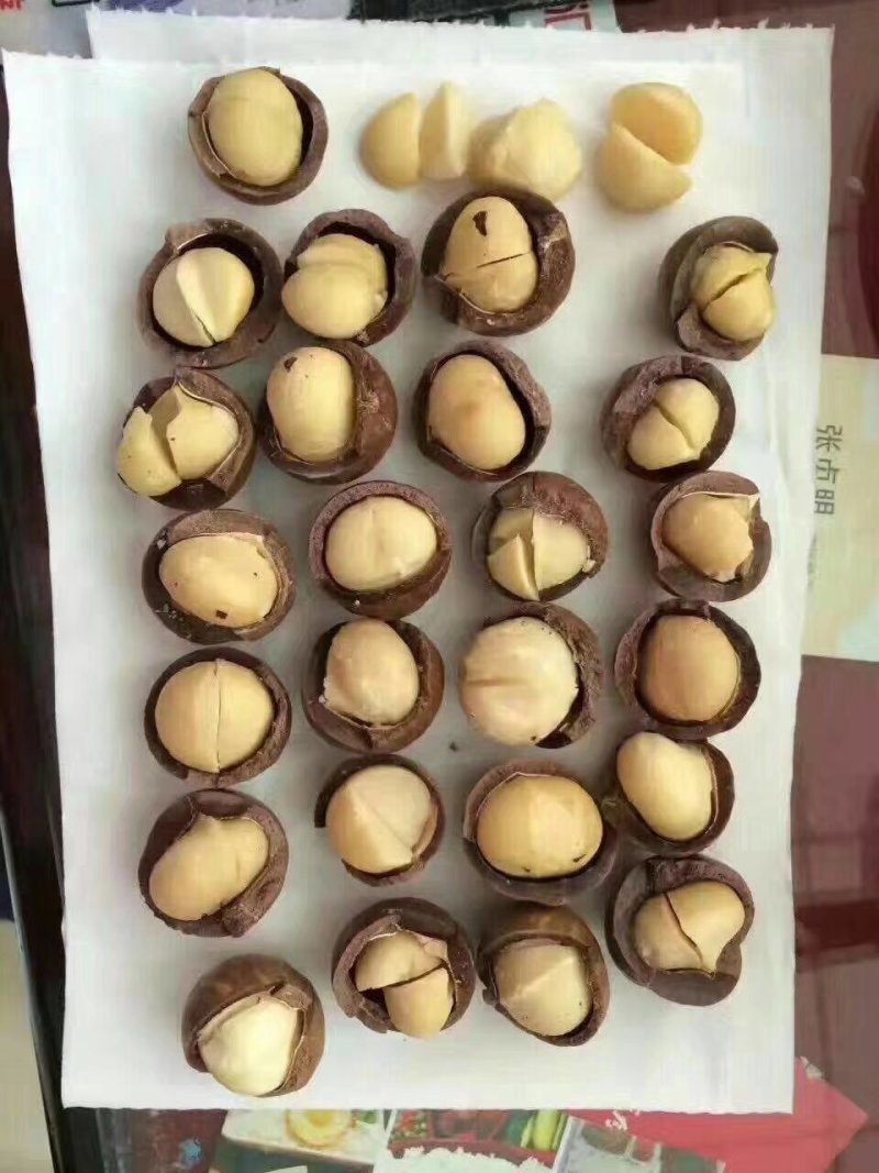 澳洲夏威夷果