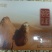 新疆润驼驼奶粉