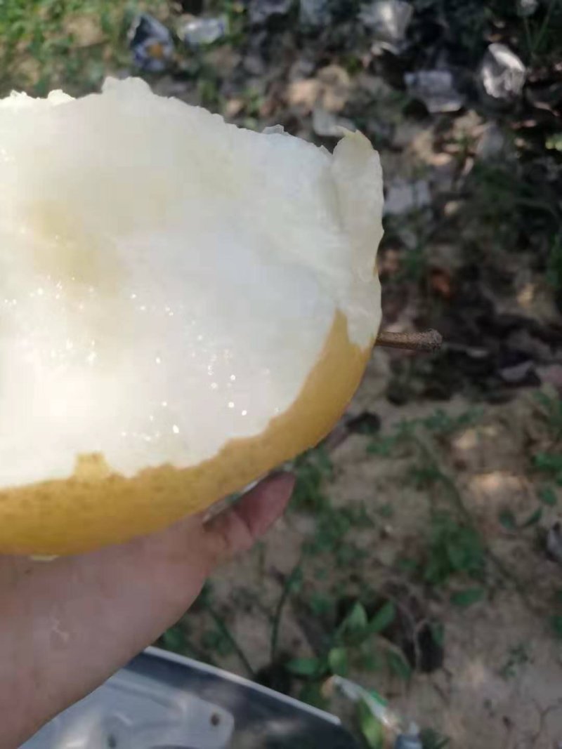 丰水尾期了，价格优惠，抢了，抢了