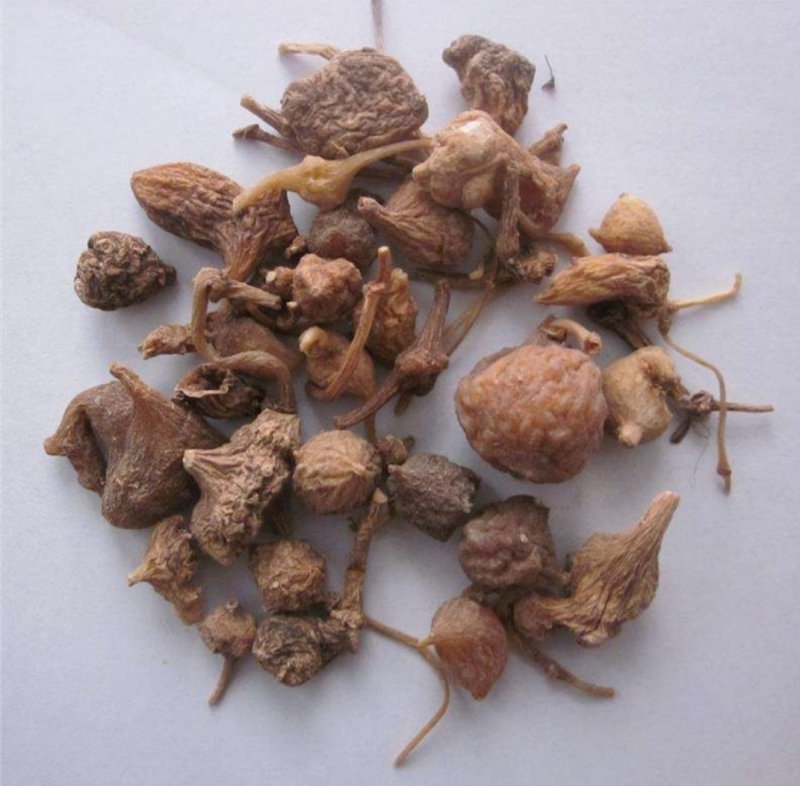 珠子参，道地药材，质优价实，品质保证，药典标准一公斤起批