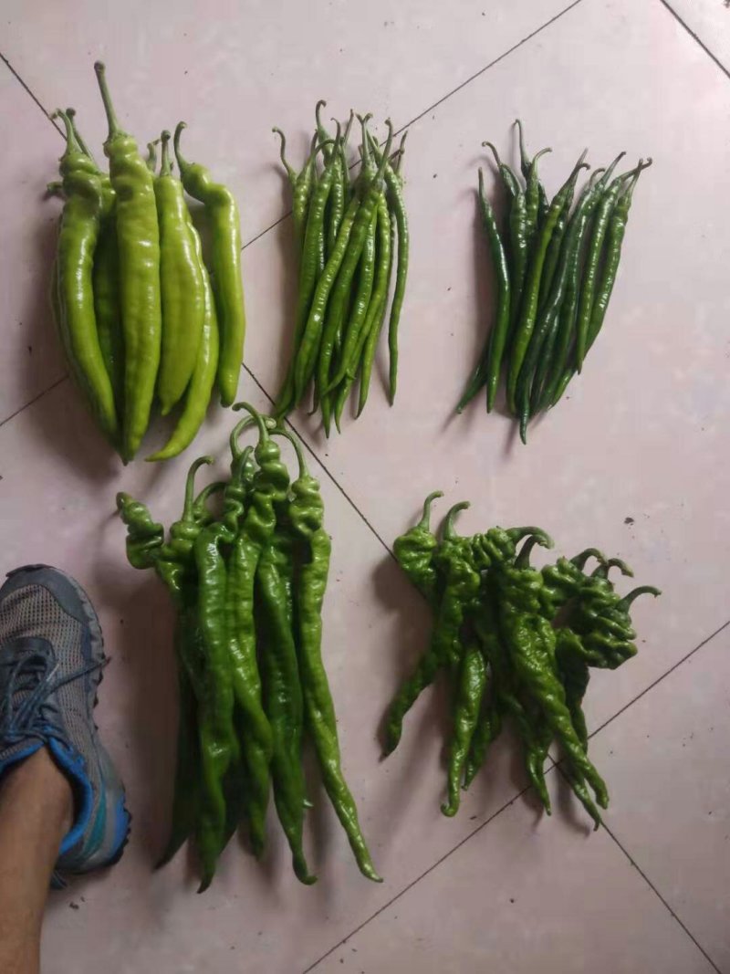 鲜辣椒