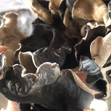 康惠商行毛木耳，质优价优，产地直供