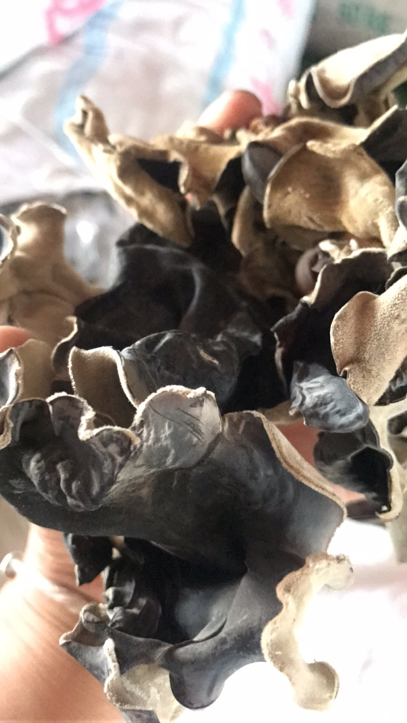 康惠商行毛木耳，质优价优，产地直供