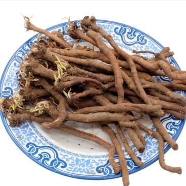 蒲公英根，产地山西道地药材，质优价实，品质保证，药典标准