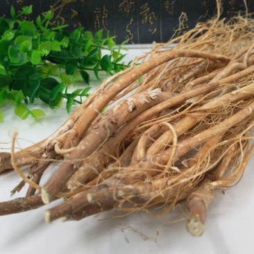 石参根，道地药材，质优价实，品质保证，药典标准一公斤起批