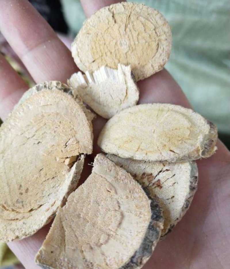 赤苍藤，道地药材，质优价实，品质保证，药典标准一公斤起批