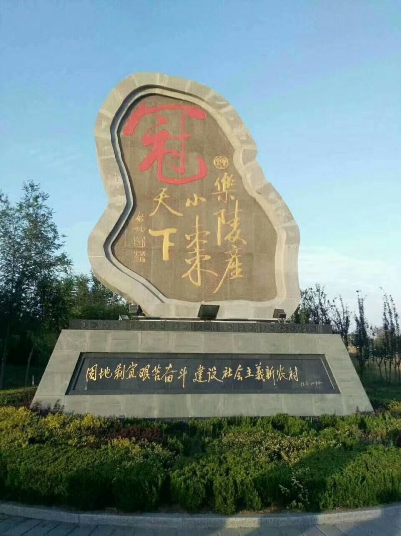 鲜元红大枣无核小枣金丝小枣