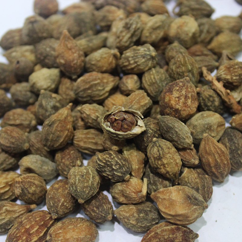 益智仁益智仁泡茶中药材野生益智仁新鲜海南茶新货益智子