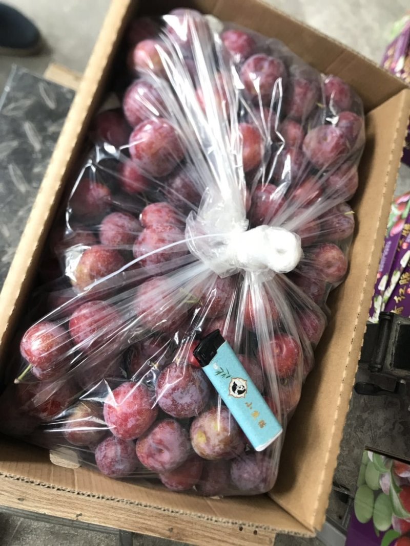 茂县高山脆红李，各大味足，已低价出售优质产品