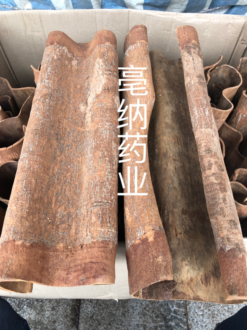 紫油桂清化桂越南高山油桂安南油桂深山油桂一公斤起批包邮