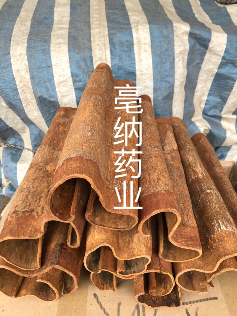 紫油桂清化桂越南高山油桂安南油桂深山油桂一公斤起批包邮