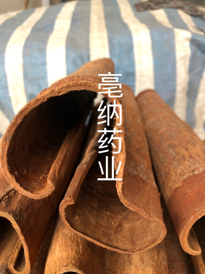 紫油桂清化桂越南高山油桂安南油桂深山油桂一公斤起批包邮