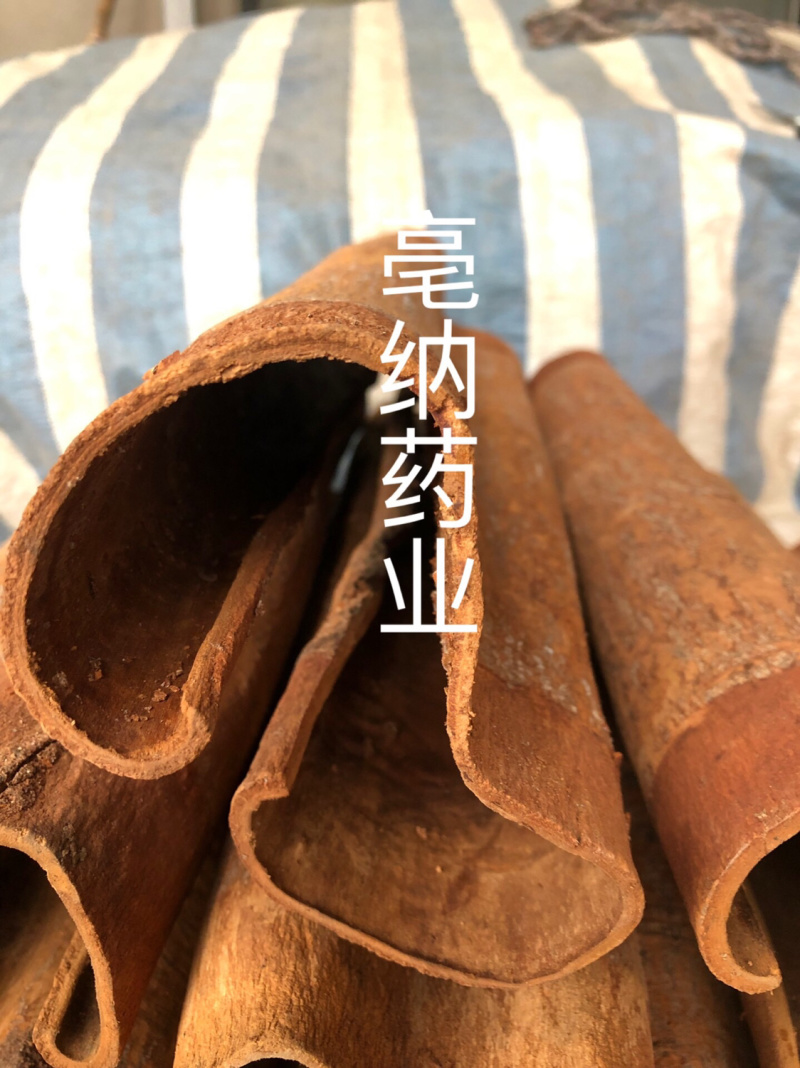 紫油桂清化桂越南高山油桂安南油桂深山油桂一公斤起批包邮