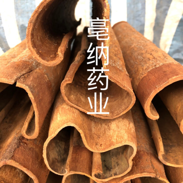 紫油桂清化桂越南高山油桂安南油桂深山油桂一公斤起批包邮