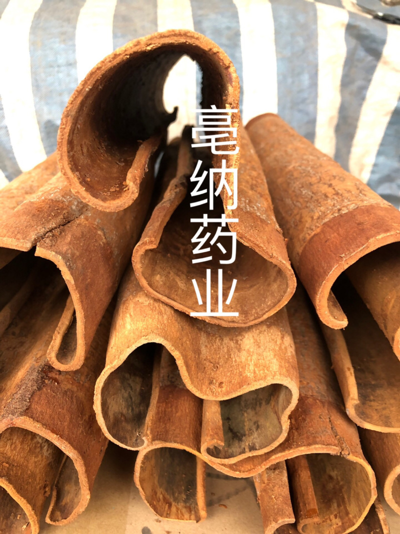 紫油桂清化桂越南高山油桂安南油桂深山油桂一公斤起批包邮
