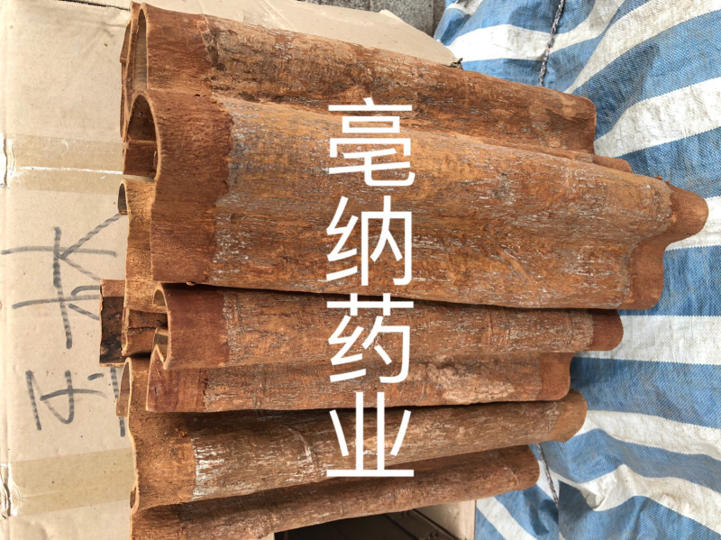 紫油桂清化桂越南高山油桂安南油桂深山油桂一公斤起批包邮