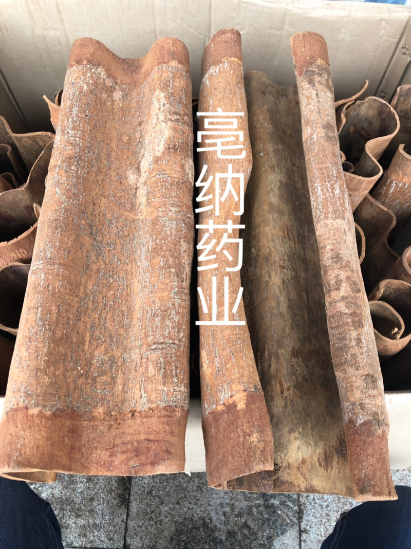 紫油桂清化桂越南高山油桂安南油桂深山油桂一公斤起批包邮