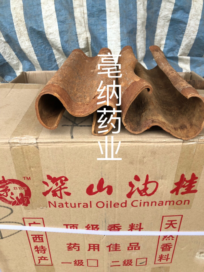 紫油桂清化桂越南高山油桂安南油桂深山油桂一公斤起批包邮