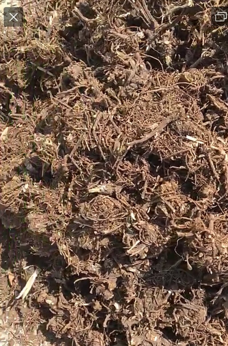 辽宁蒿苯保含量