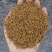 金骏眉特级红茶500g包邮