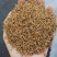 金骏眉特级红茶500g包邮
