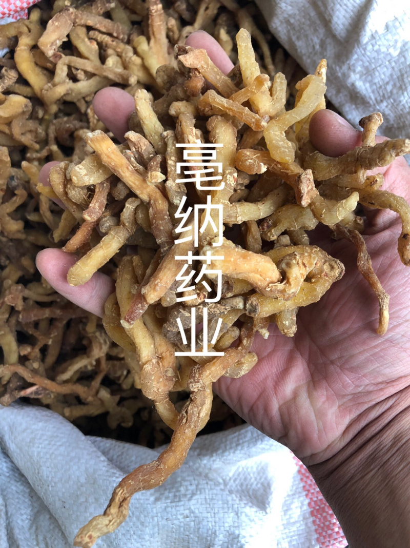 【聚便宜】黄精中药材黄精大货批发