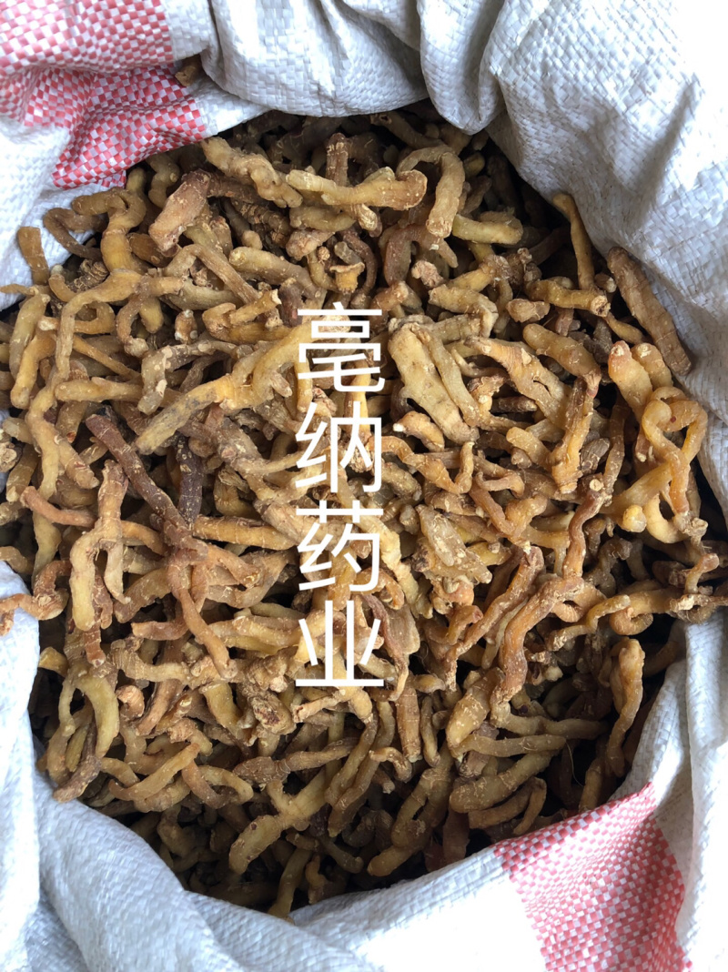 【聚便宜】黄精中药材黄精大货批发