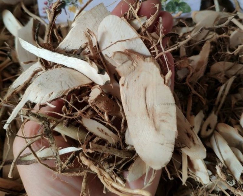 鸟不企，道地药材，质优价实，品质保证，药典标准一公斤起批