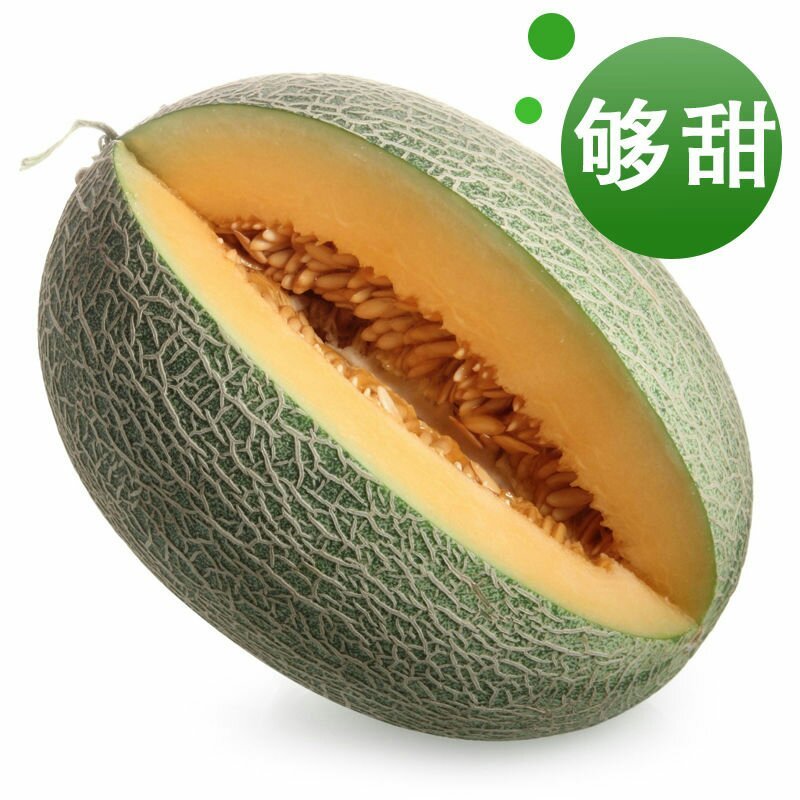 哈密瓜