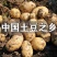 土豆十斤发货
