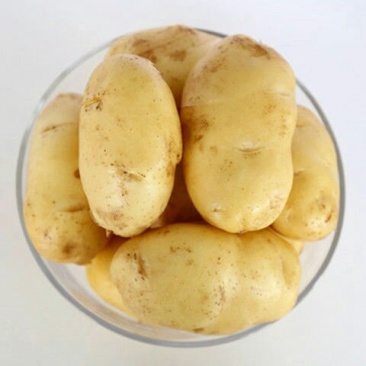 土豆十斤发货