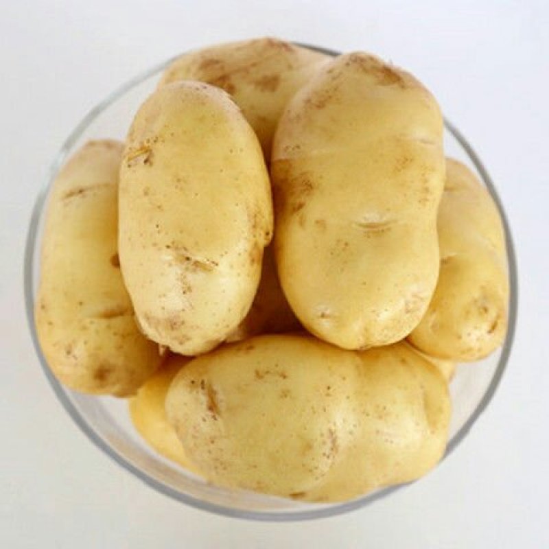 土豆十斤发货