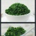 速冻荠菜碎，做馅包子饺子连锁店食品厂用，长期合作