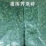 速冻荠菜碎，做馅包子饺子连锁店食品厂用，长期合作