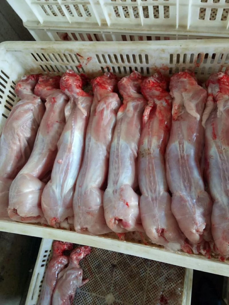 供应精品兔头，全国批发兔头，厂家直销批发兔头，量大从优！