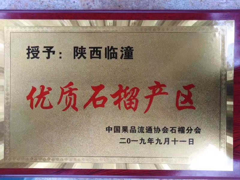 临潼石榴，籽大皮薄陆续上市了，欢迎各位老板前来骚扰