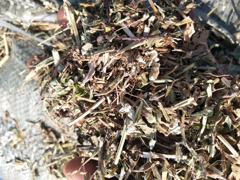 花生秧草料河南花生秧，牛羊草饲料