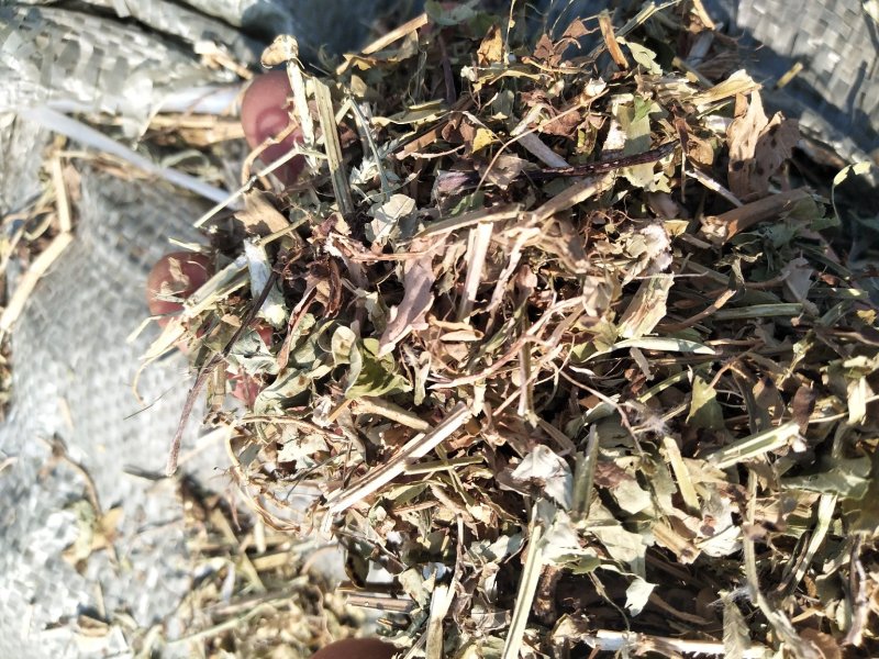 花生秧草料河南花生秧，牛羊草饲料