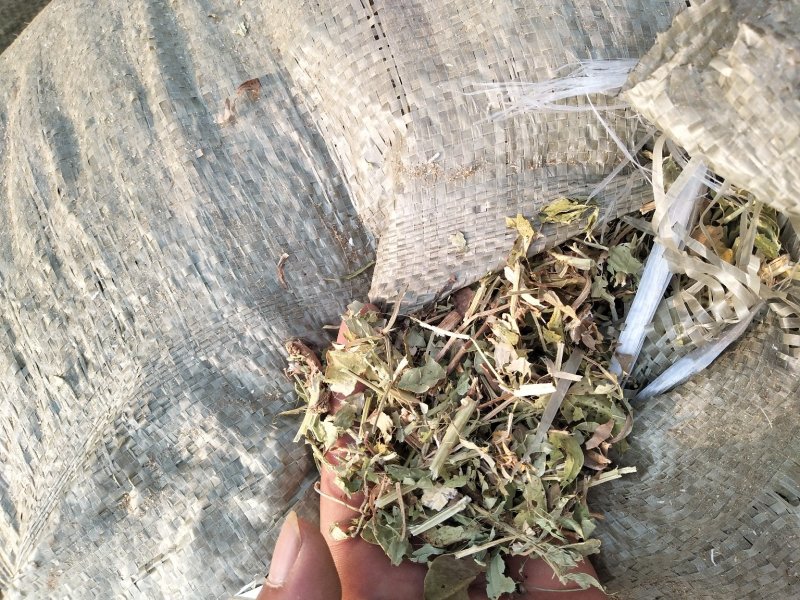 花生秧草料河南花生秧，牛羊草饲料