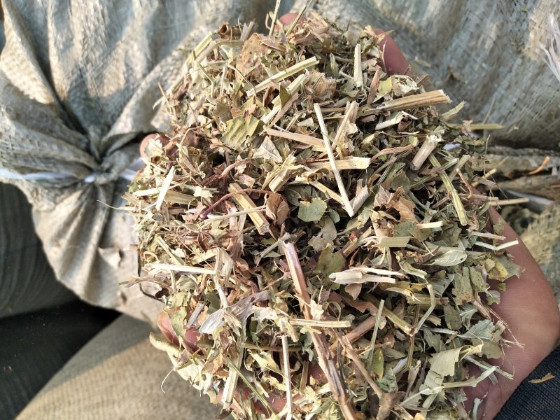 花生秧草料河南花生秧，牛羊草饲料