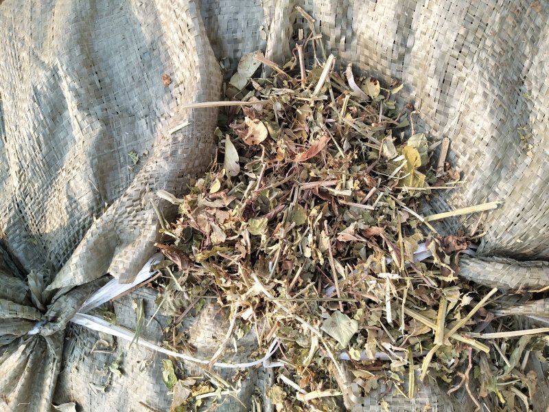 花生秧草料河南花生秧，牛羊草饲料