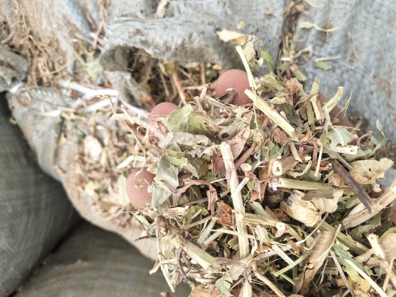 河南永嘉草业常年供应优质花生秧草料（草段草粉细糠）