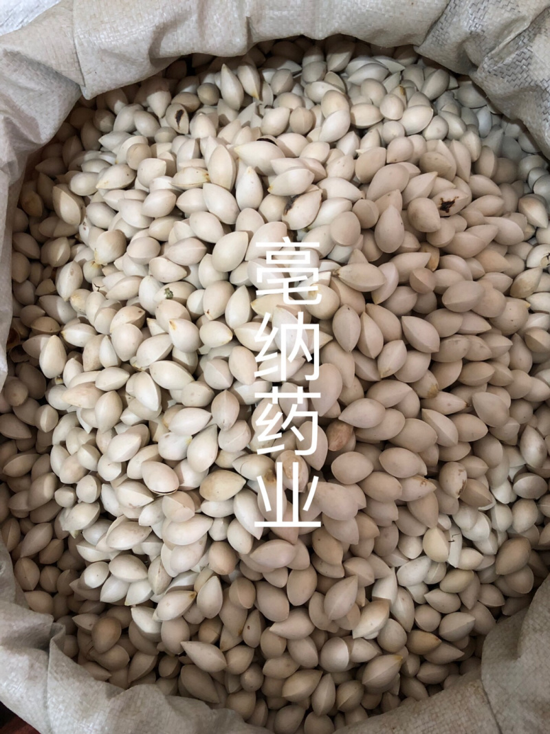 白果中药材优质白果1⃣️公斤起批壳白银杏果